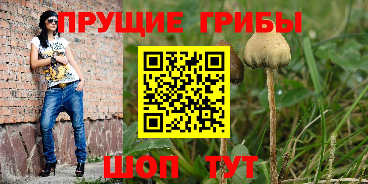 ГАШИШ  Вход с VPN  МАРИХУАНА  Мефедрон   Владимир  Наркошоп 